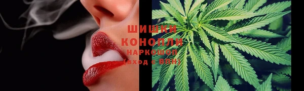 винт Вяземский