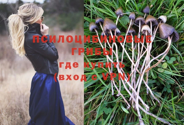 СК Вязники