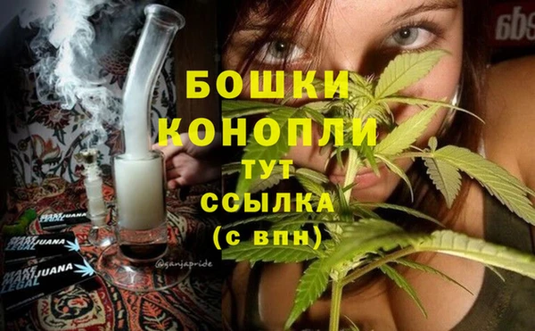 винт Вяземский